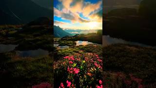 Nature Without Human #nature #tranding #viral #shortsvideo