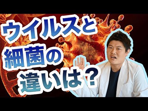 細菌とウイルス: 違いは何ですか?