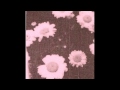 Auburn Lull - CA1