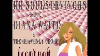 H&H SoulSurvivors ft Diana Waite