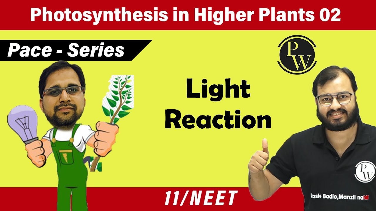 Photosynthesis in Higher Plants 02 | Light Reaction I Class 11 l Pace Series