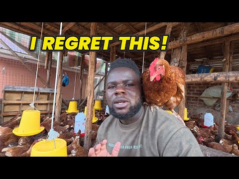 I Made a Big Mistake on My Poultry Farm & It Nearly Wiped out my Flock! Newcastle Outbreak