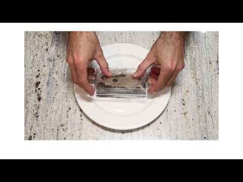 Botanist: Cacao Bean Exploration Kit