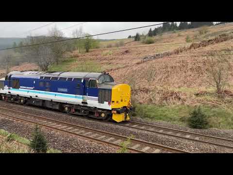 37425 - 4Z70 - Greskine