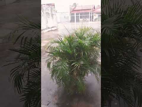 #reflexão #motivacional #mensagem #reflexiones #reflexionesdeldia