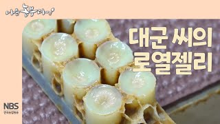 [나는농부다 268회] 대군 씨의 로열젤리