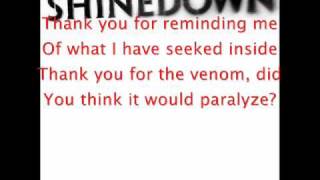 Shinedown - Sin with a Grin + lyrics