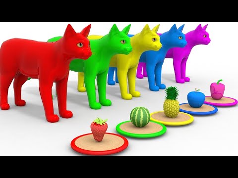 Download Kucing Warna Warni 3gp Mp4 Codedwap