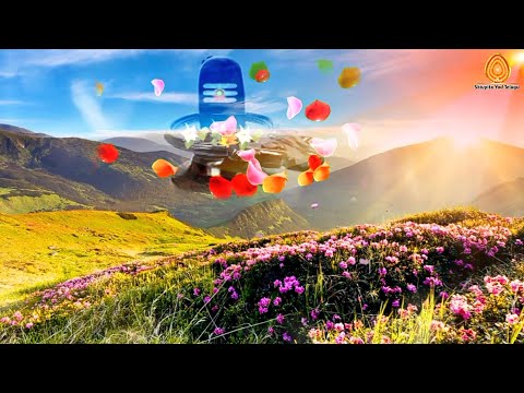 Shiva Pita Nive Atmala Tandrive - Song Telugu👌| Brahma Kumaris