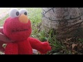 Elmo Climbs A Tree