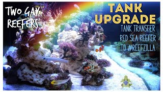 Tank Upgrade! Transferring Stock from the Red Sea Reefer to #Reefzilla
