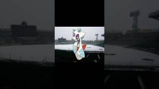 甲子園で試合開始を叫ぶユキメノコ #shorts