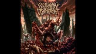 Extermination Dismemberment - Disemboweled Engorgement