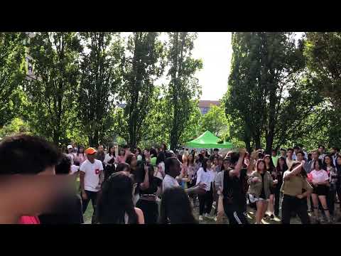 ENG) K-Pop Random Dance on Korean Celebration Day at Toronto 2019 / 2019 토론토 한인의 날 케이팝 랜덤댄스 [8/24]