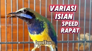 Download lagu Masteran Cungkok full materi variasi gereje, Kunti, besetan tajam mp3 Download lagu Masteran Cungkok full materi variasi gereje, Kunti, besetan tajam mp3