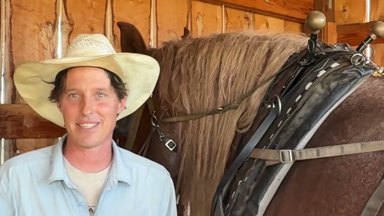 Light Root Farm & Learning Center