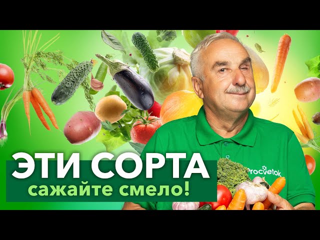 СОРТА ОВОЩЕЙ, ЗА КОТОРЫЕ РУЧАЮСЬ ГОЛОВОЙ! Вот какие сорта каждый год выращивает известный агроном