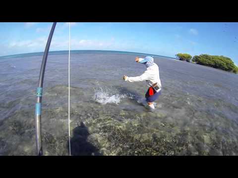 Recopilación de capturas en los roques