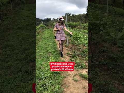 8 vinícolas que você precisa conhecer perto de SP #Vinho #Wine #Vino #SaoPaulo #SP