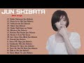 Jun Shibata Greatest Hits Full Album 柴田淳 - Best Songs Of Jun Shibata 柴田淳