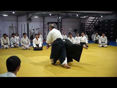 2023 HAF Aikido Seminar - Shihan Etsuji Horii - Yokomen uchi ikkyo 2