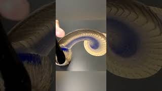 Ippitsuryu #dragon #painting #japenese #art #artwork #artvideo  #artshare #artwork #artvideos #art
