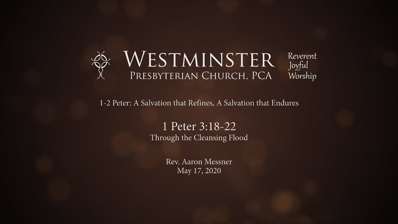 1 Peter 3:18-22 - Through the Cleansing Flood