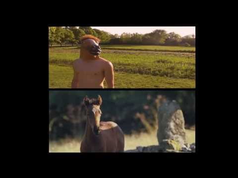 War Horse Trailer Project