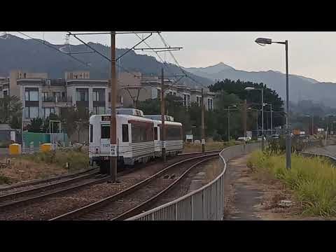 Tram-spotting at the Trackside near Hang Mei Tsuen