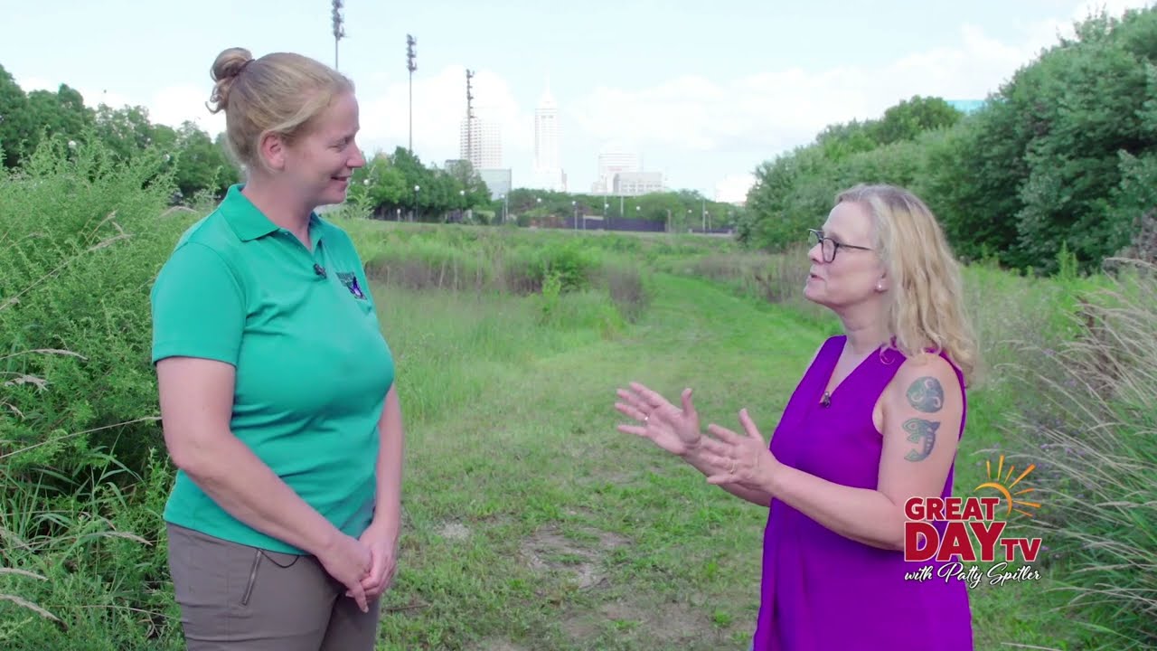 Thumbnail of the video