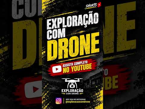 Tem um zoológico debaixo dessas árvores