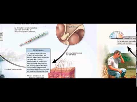 Crise hypertensive oedème pulmonaire Une pression artérielle doit être un garçon de 11 ans