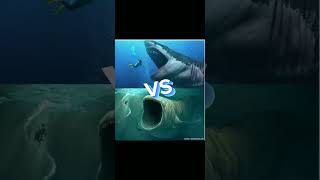 Download lagu jedag jedug ikan nabi yunus vs ular falak mp3 Download lagu jedag jedug ikan nabi yunus vs ular falak mp3