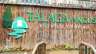 TALAGA PINEUS RIVERSIDE CAMPING - BANDUNG pengalengan