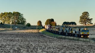 Trains in Tasmania: An intermodal Train Chase Through the Cradle Mountains Region