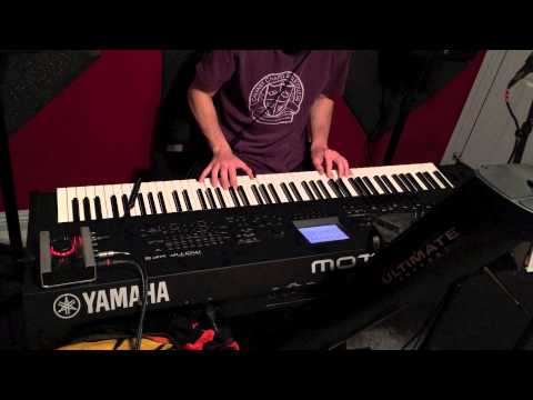 12 String Acoustic Guitar (Motif XF)