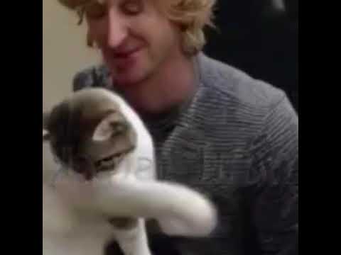 Owen Wilson Getting Goofy With Neighborhood Cats