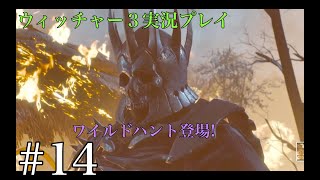 ウィッチャー３ 実況プレイ改＃14 Ue3