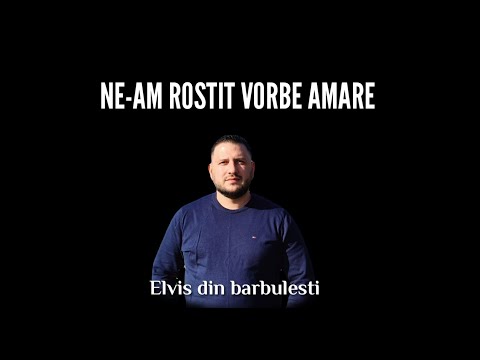 Elvis din Barbulesti - Ne-am rostit vorbe amare