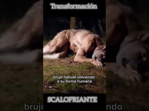 LOBISOMEM REAL VOLTANDO A SUA FORMA HUMANA #deus #youtube #lobisomem #bruxa #fantasma