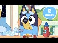 LIVE Unwind With The Heelers Wholesome Family Moments With Bluey Bluey