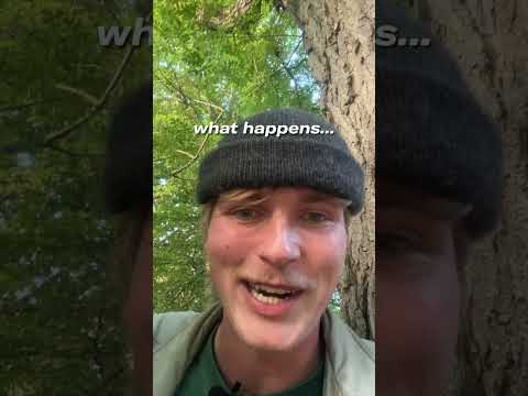 Can the SOUNDBOKS 4 Help you rizz?   #funny #bluetoothspeaker