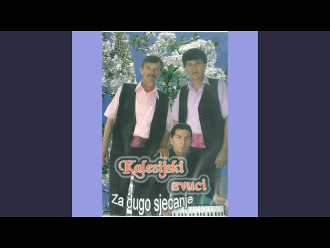 Vidovice selo Posavine