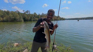 Cooking Catfish By The Lake With Friends !! - Catch And Cook