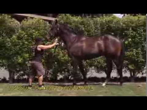 10 DylanThomas PrincessPedrille