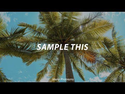 (FREE) Guitar Sample - "Many Problems" | Sample No Drums | Melodic Loop Kit