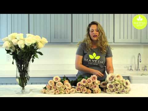 download lagu mp3 mp4 Sahara Roses Bouquet, download lagu Sahara Roses Bouquet gratis, unduh video klip Sahara Roses Bouquet