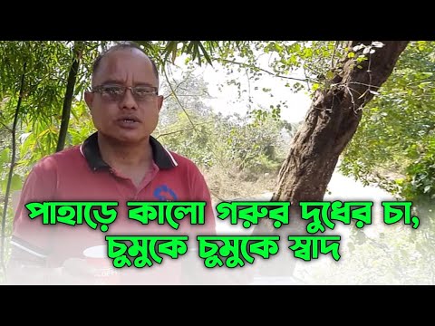 পাহাড়ে কালো গরুর দুধের চা, চুমুকে চুমুকে স্বাদ