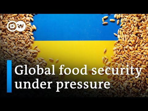 烏克蘭戰爭給全球糧食供應帶來壓力 | DW新聞 (Ukraine war putting pressure on global grain supply | DW News)
