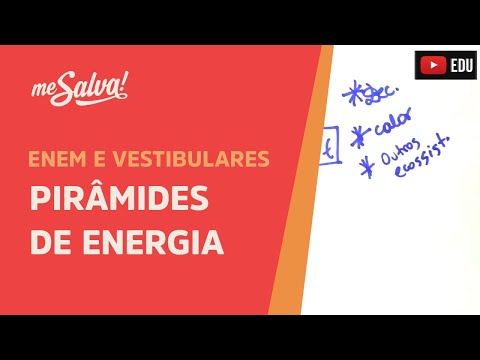 Me Salva! ECO17 - Ecologia - Pirâmides de energia